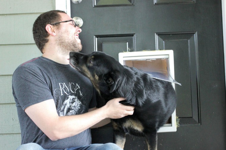 Dog door thefts